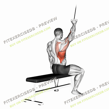 Alternate Lateral Pulldown — watermarked preview