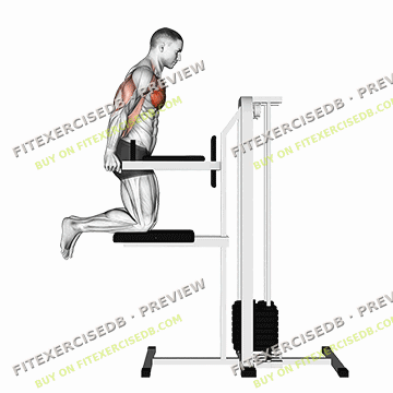 Assisted Chest Dip (kneeling) — watermarked preview