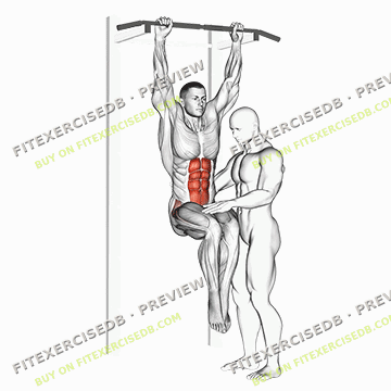 Assisted Hanging Knee Raise With Throw Down — watermarked preview