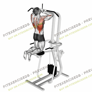 Assisted Parallel Close Grip Pull-up — watermarked preview