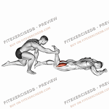 Assisted Prone Hamstring — watermarked preview