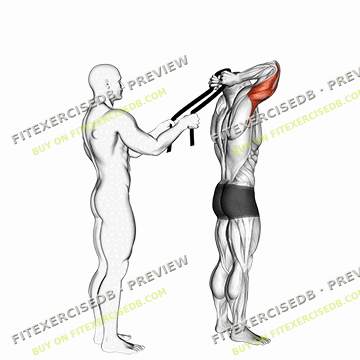 Assisted Standing Triceps Extension (with Towel) — watermarked preview