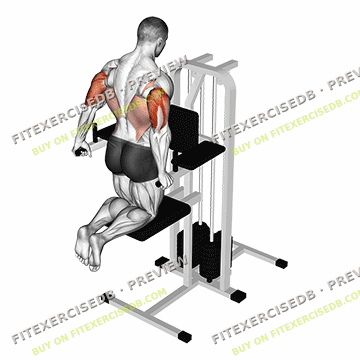Assisted Triceps Dip (kneeling) — watermarked preview