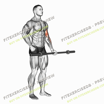 Barbell Alternate Biceps Curl — watermarked preview