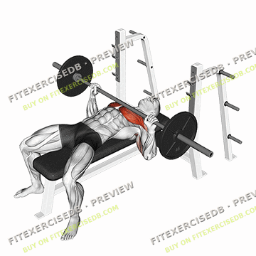 Barbell Bench Press — watermarked preview