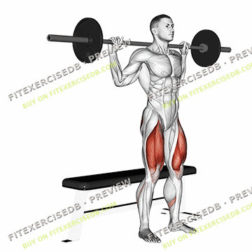 Barbell Bench Squat — watermarked preview