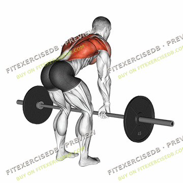 Barbell Bent Over Row — watermarked preview