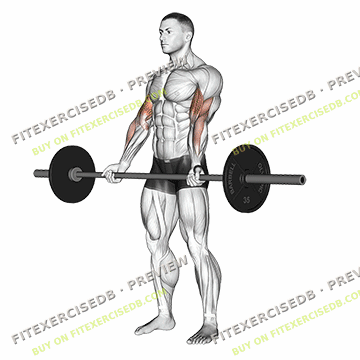 Barbell Curl — watermarked preview