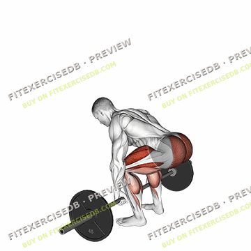 Barbell Deadlift — watermarked preview