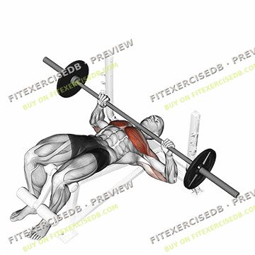 Barbell Decline Bench Press — watermarked preview