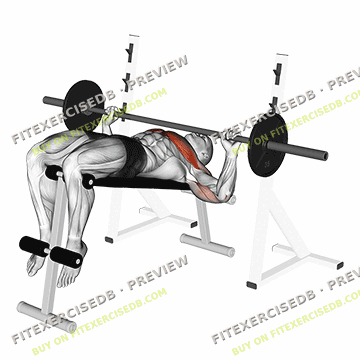 Barbell Decline Wide-grip Press — watermarked preview