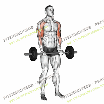 Barbell Drag Curl — watermarked preview