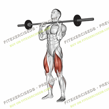 Barbell Front Chest Squat — watermarked preview