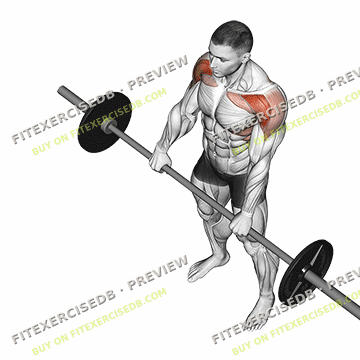 Barbell Front Raise — watermarked preview