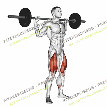 Barbell Full Squat — watermarked preview