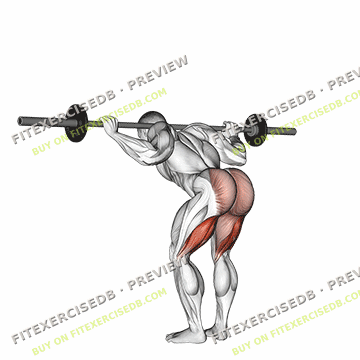 Barbell Good Morning — watermarked preview