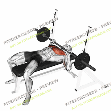 Barbell Guillotine Bench Press — watermarked preview