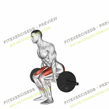 Barbell Hack Squat — watermarked preview