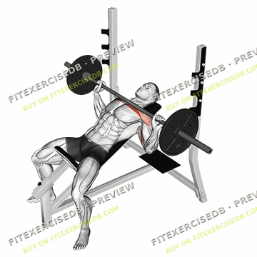 Barbell Incline Bench Press — watermarked preview