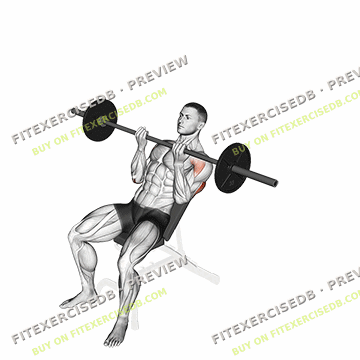 Barbell Incline Reverse-grip Press — watermarked preview