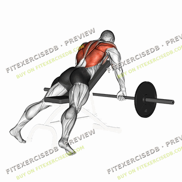 Barbell Incline Row — watermarked preview