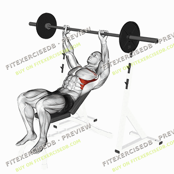 Barbell Incline Shoulder Raise — watermarked preview