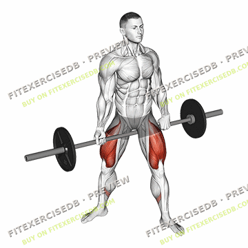 Barbell Jefferson Squat — watermarked preview