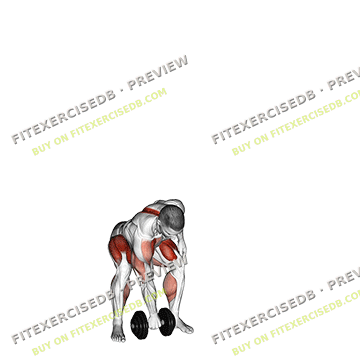 Dumbbell One Arm Snatch — watermarked preview